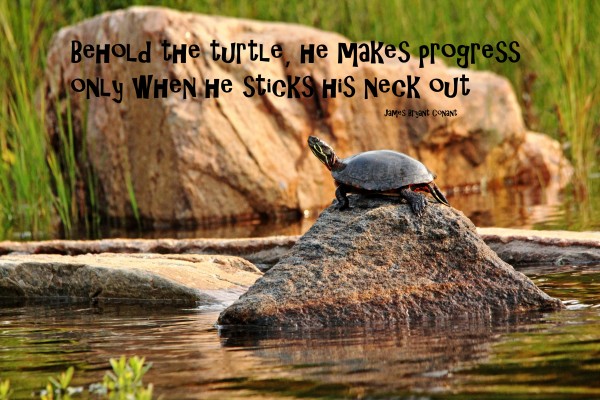 Making Progress by Deb Oppermann
